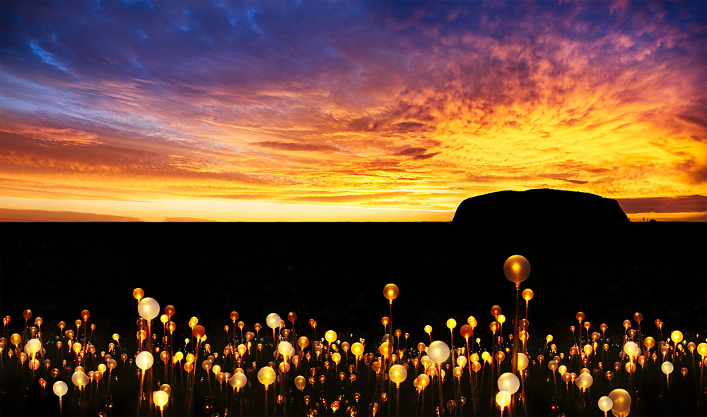 Field of Light at Ayers Rock