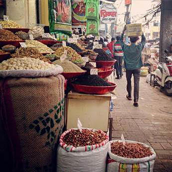 Nyssa Hartin - Street Scenes of India