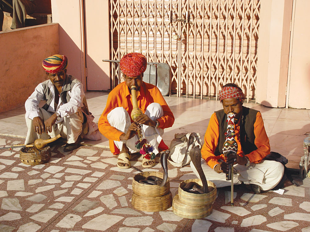 Snake Charmers in India