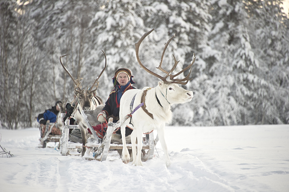Kakslauttanen Arctic Resort - Reindeer Safari, Finnish Lapland, Finland
