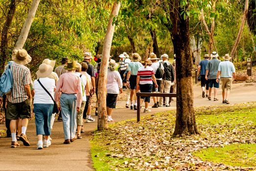 Travel Group on Nature Walking Tour