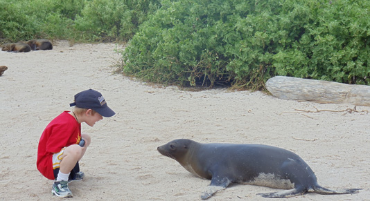 Face time with the locals - The Galapagos