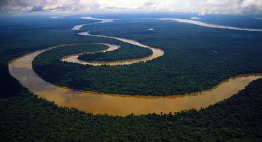 The Amazon River