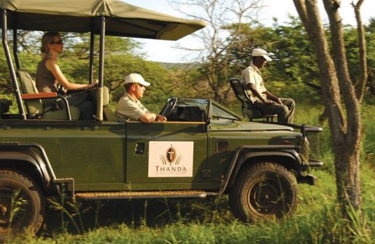 Game Drive in Thanda Private Game Reserve, Zululand, KwaZulu-Natal, South Africa