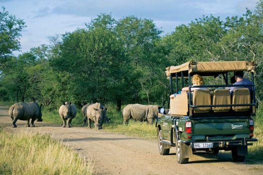 Game Viewing in Hluhluwe-Imfolozi National Park in Zululand, KwaZulu-Natal, South Africa