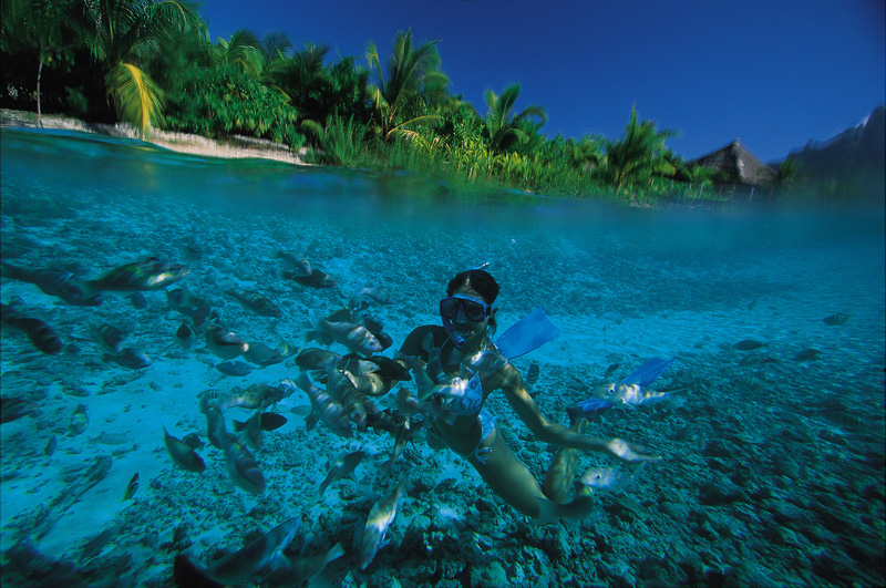 Snorkelling in the Turquoise Lagoons