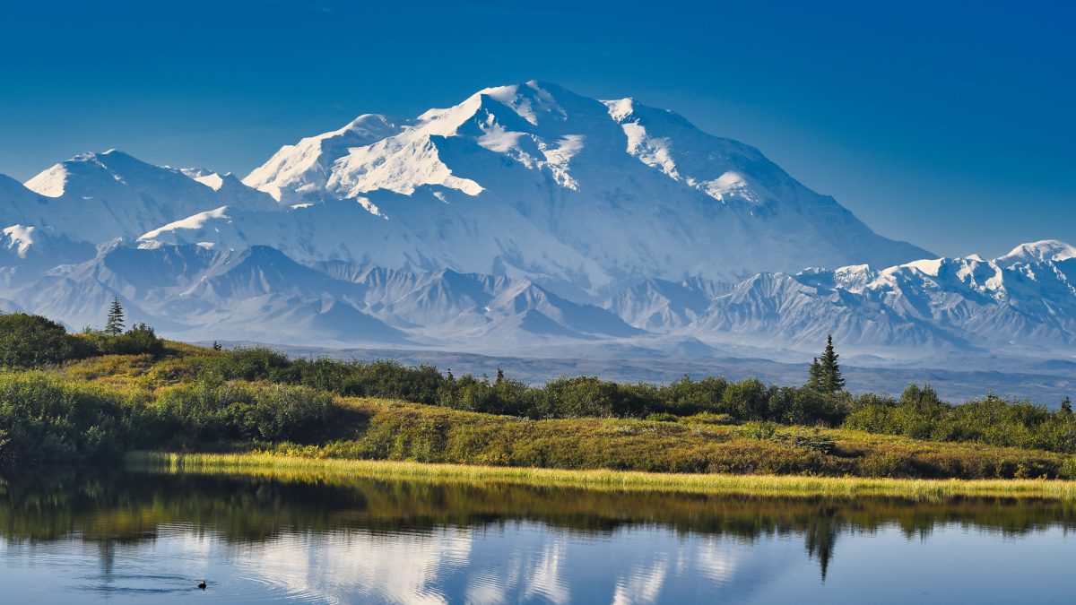 View of a towering mountain with snowcaps, known as Denali, in Denali National Park in Alaska.