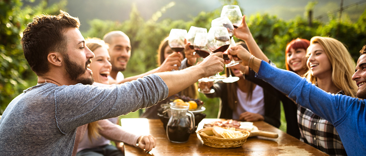 a group of friends cheers over wine in an italian vineyard